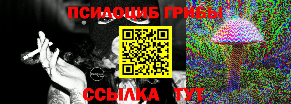 Псилоцибиновые грибы прущие грибы Нурлат