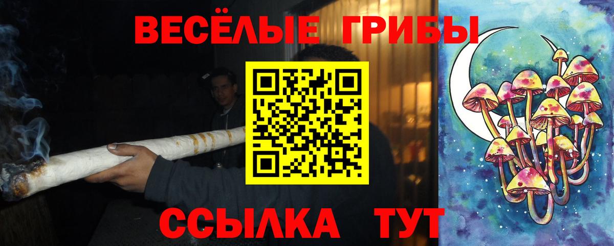 Псилоцибиновые грибы Magic Shrooms  Вход с VPN  Нурлат  Галлюциногенные грибы MAGIC MUSHROOMS 