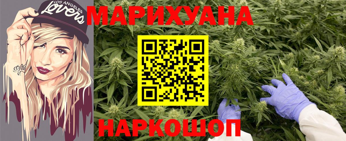 Конопля сатива Нурлат